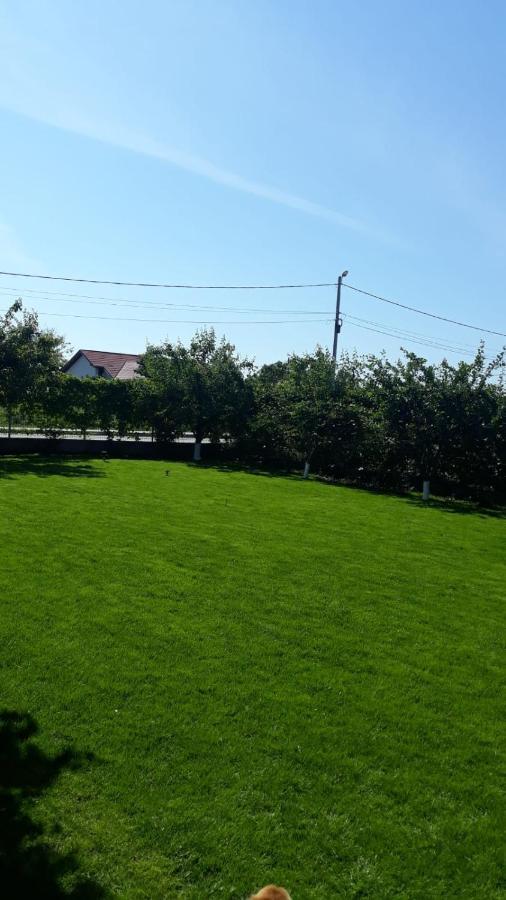 Vila Alexa Costinesti Zewnętrze zdjęcie