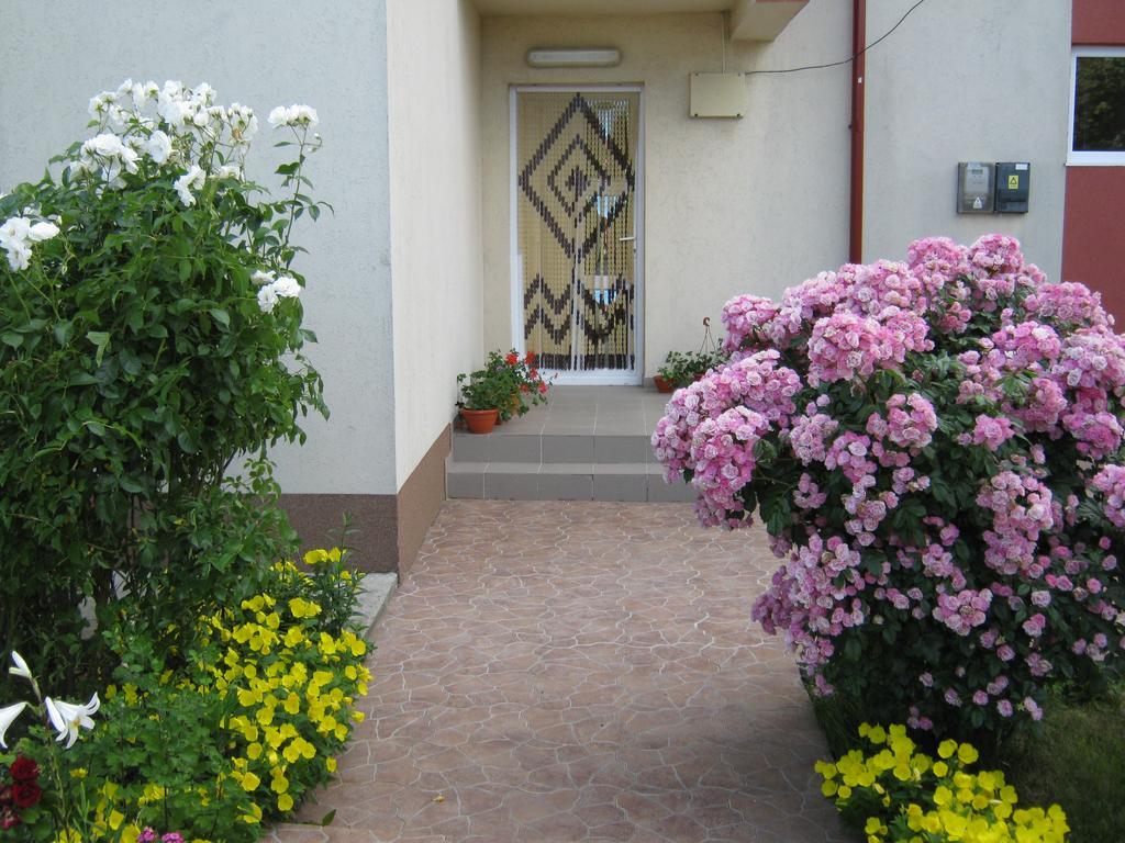 Vila Alexa Costinesti Zewnętrze zdjęcie